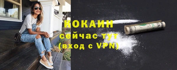 гидра Армянск