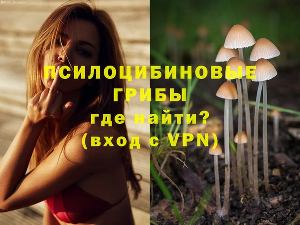 скорость Аркадак