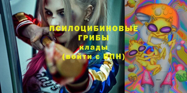 гидра Армянск
