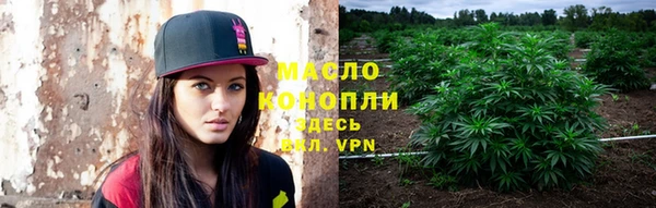 мяу мяу мука Арсеньев