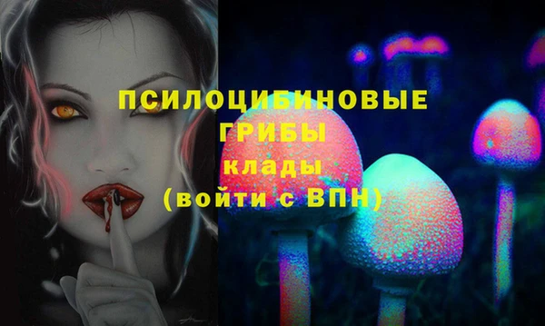 мяу мяу мука Арсеньев
