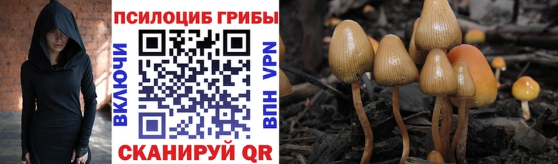 Псилоцибиновые грибы Magic Shrooms  darknet какой сайт  Сокол 